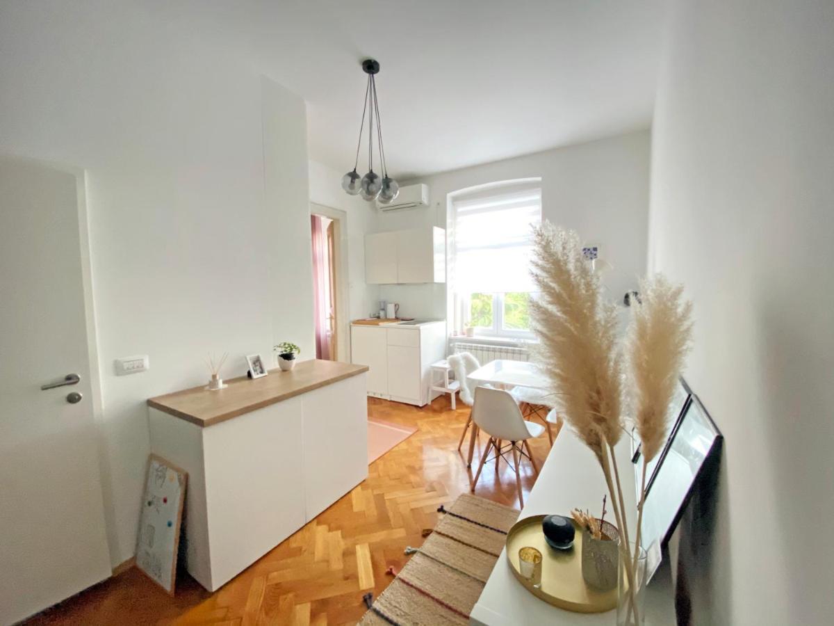 Bright Apartment 45M2 - Free Parking - Wifi Rijeka Buitenkant foto