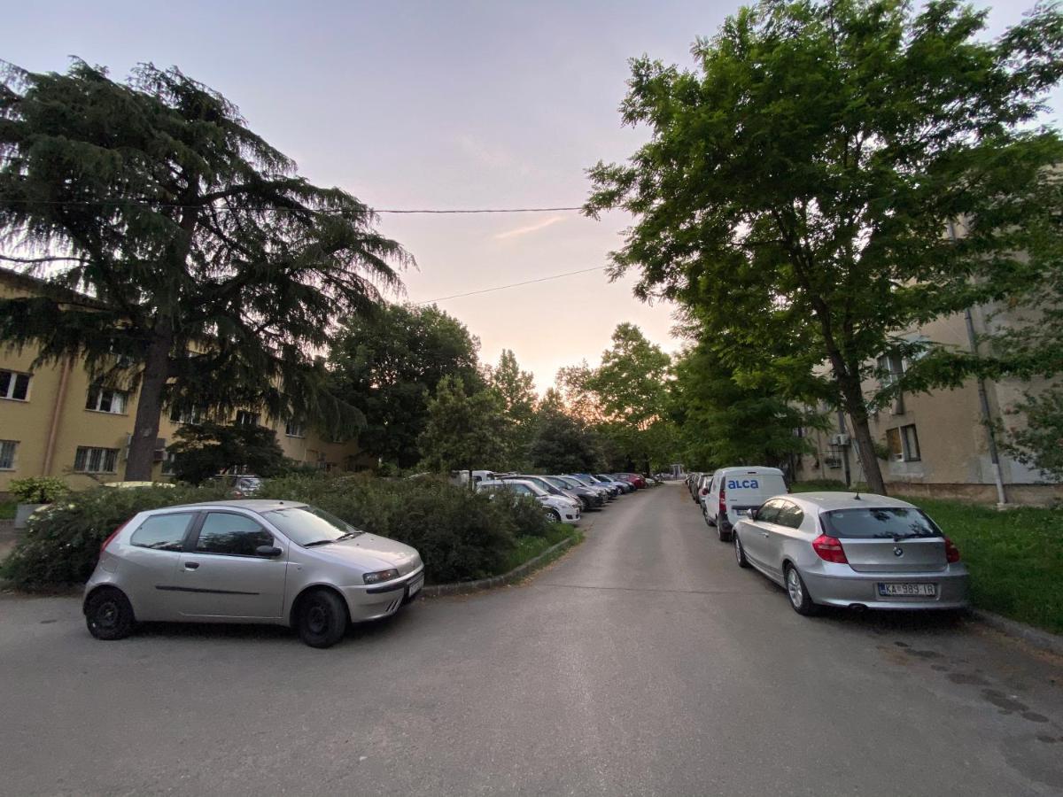 Bright Apartment 45M2 - Free Parking - Wifi Rijeka Buitenkant foto