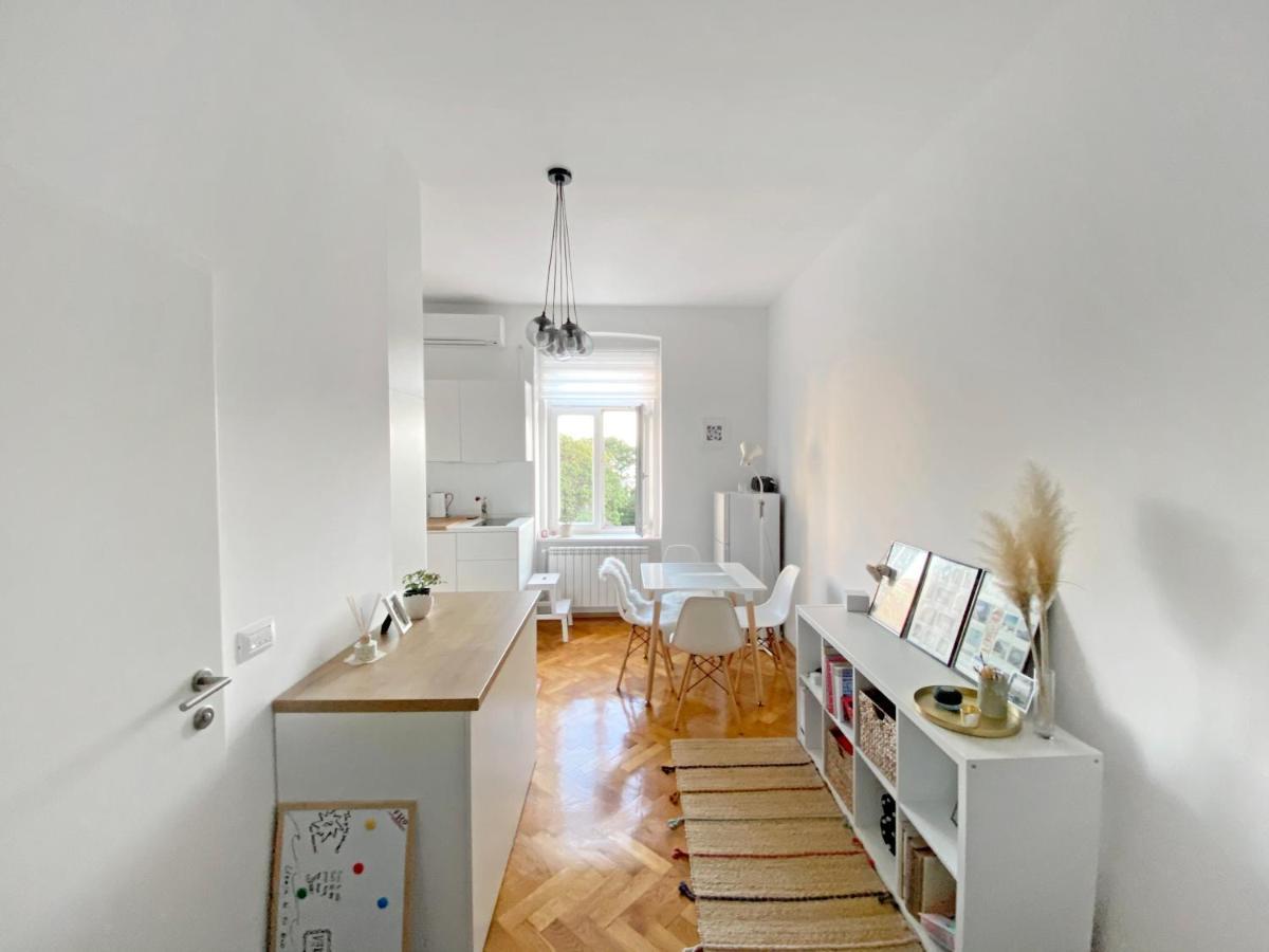 Bright Apartment 45M2 - Free Parking - Wifi Rijeka Buitenkant foto